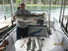 (05/13/2015) - Nice Striped Bass